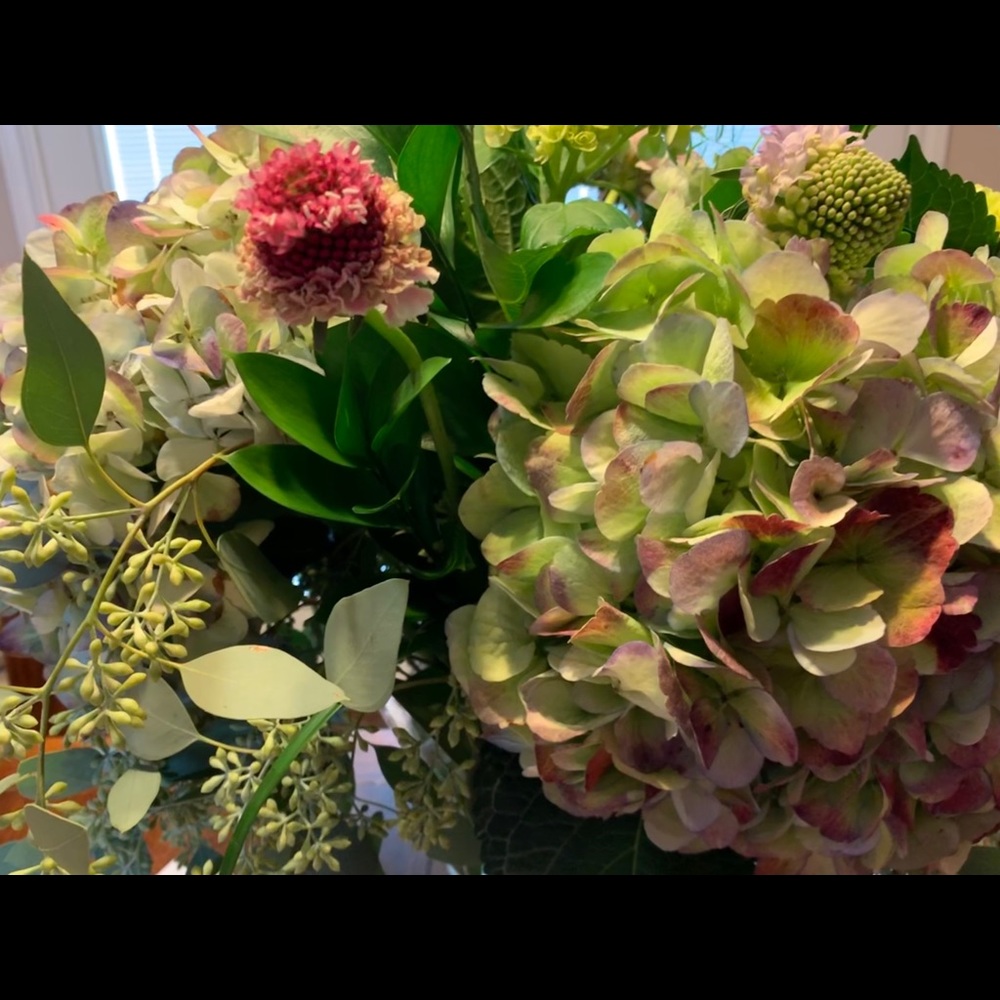 Meet your Posher, Andrea